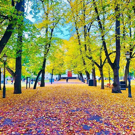 Scandinavian 1br Art Deco Heard * Helsinki