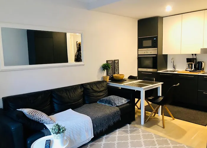アパート Scandinavian 1br Art Deco Heard