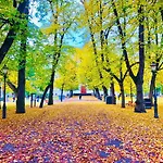 Scandinavian 1br Art Deco Heard * Helsinki